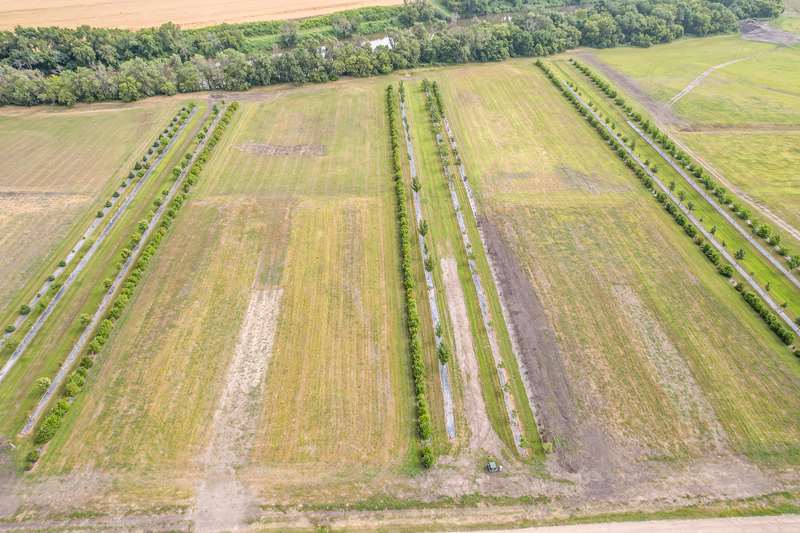 Purchase a lot to build your home.