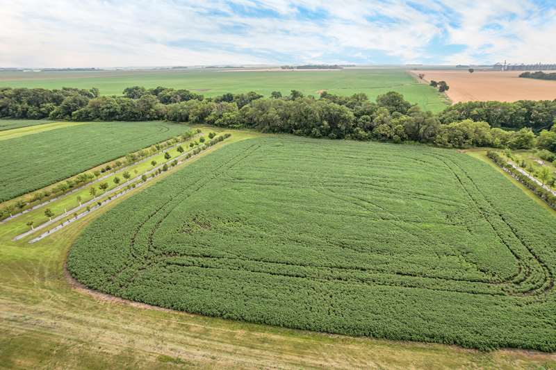 Purchase a lot to develop your home.