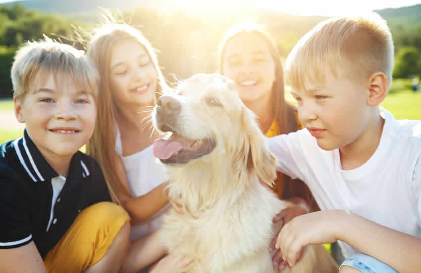 A great place to live.